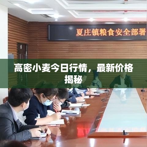 轻飞曼舞