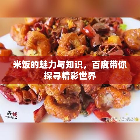 米饭的魅力与知识，百度带你探寻精彩世界