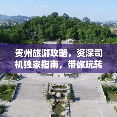 纲举目张