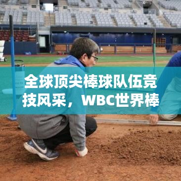 全球顶尖棒球队伍竞技风采，WBC世界棒球排名揭秘