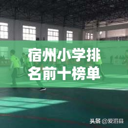 宿州小学排名前十榜单及教育特色深度解析