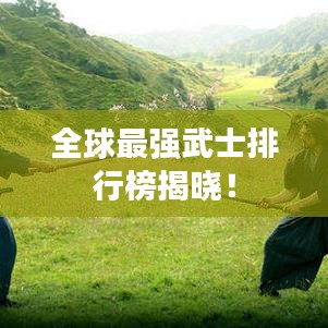 全球最强武士排行榜揭晓！