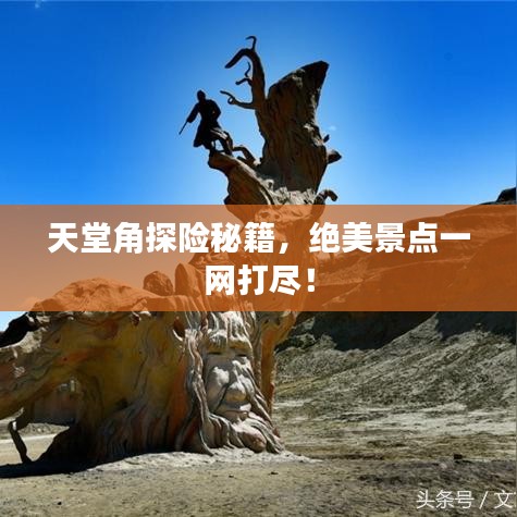 学贯中西