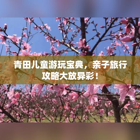 青田儿童游玩宝典，亲子旅行攻略大放异彩！