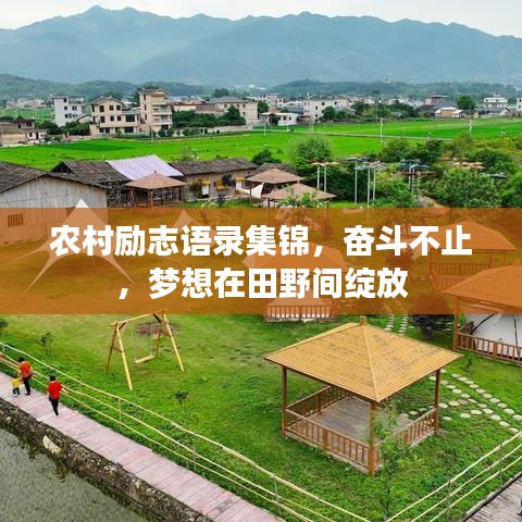 农村励志语录集锦，奋斗不止，梦想在田野间绽放