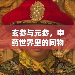 玄参与元参，中药世界里的同物异名探秘