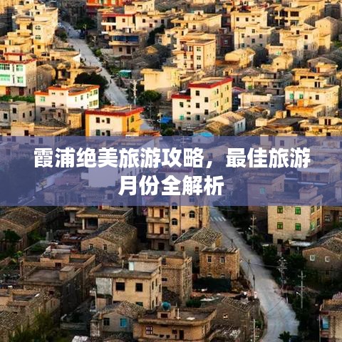 文贵天成