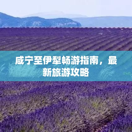 小有成就