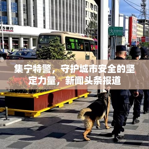 集宁特警，守护城市安全的坚定力量，新闻头条报道