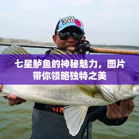 程门飞雪