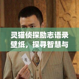 灵猫侦探励志语录壁纸，探寻智慧与勇气的力量