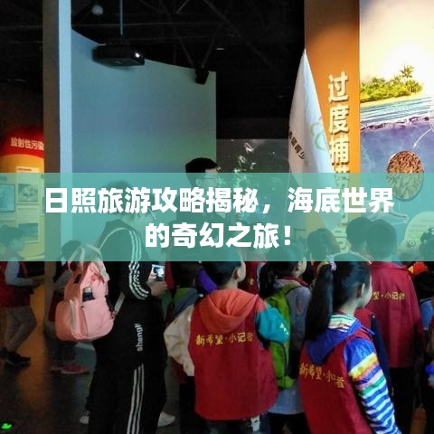 坌鸟先飞