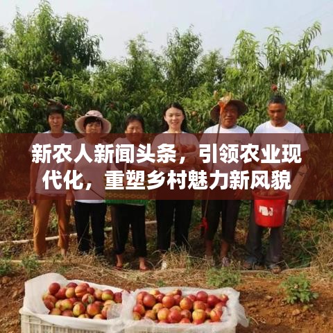 新农人新闻头条，引领农业现代化，重塑乡村魅力新风貌