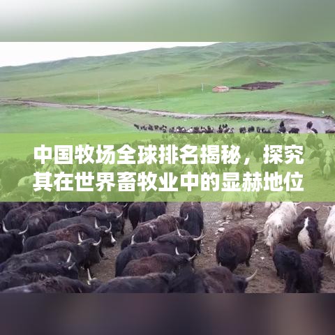 中国牧场全球排名揭秘，探究其在世界畜牧业中的显赫地位