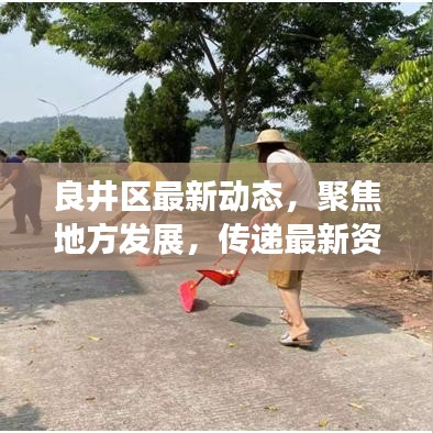 种植技术 第12页