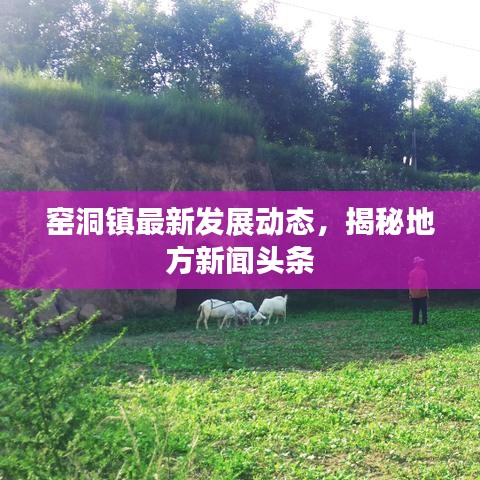 怀真抱素