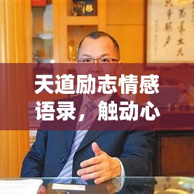 天道励志情感语录，触动心灵的短句汇总