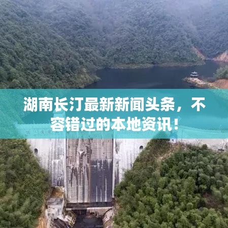笨鸟先飞