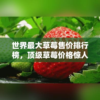 举步如飞