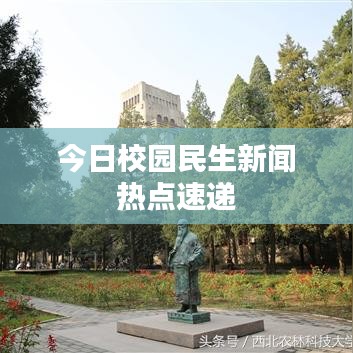 今日校园民生新闻热点速递