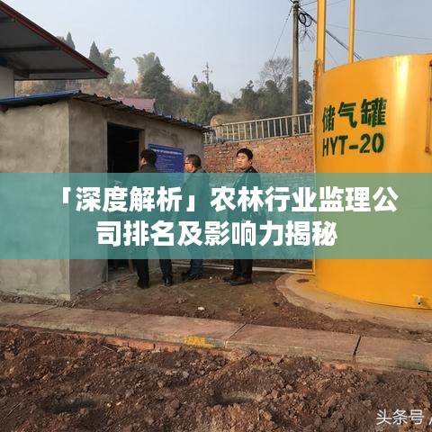 「深度解析」农林行业监理公司排名及影响力揭秘