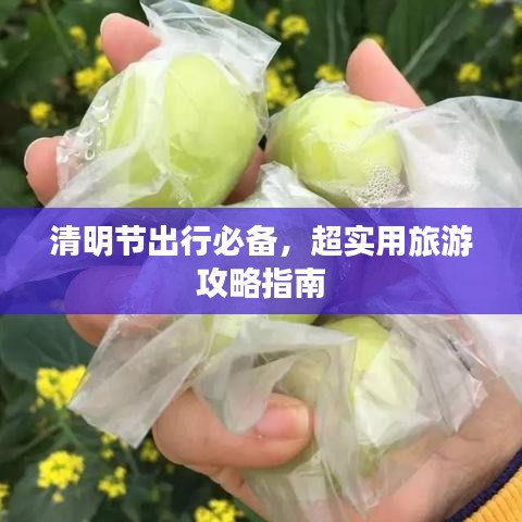 清明节出行必备，超实用旅游攻略指南
