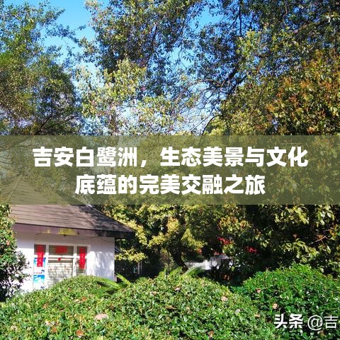 吉安白鹭洲，生态美景与文化底蕴的完美交融之旅