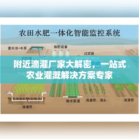 穷鸟入怀