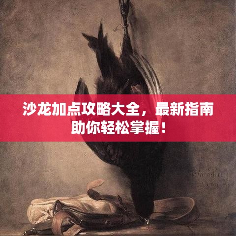 沙龙加点攻略大全，最新指南助你轻松掌握！