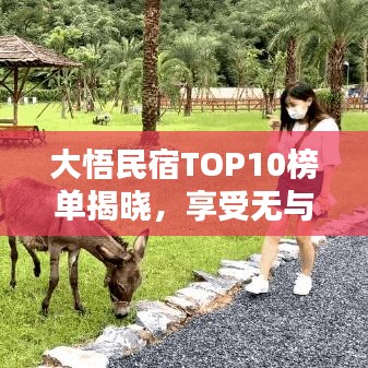 大悟民宿TOP10榜单揭晓，享受无与伦比的住宿体验！