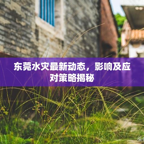 生离死别