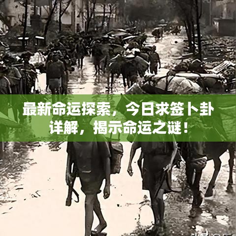 长安米贵