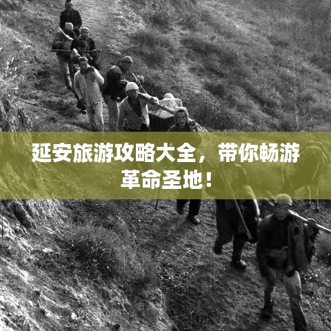 行疾如飞