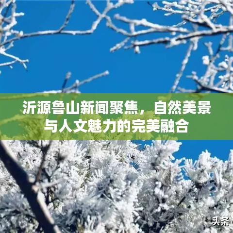独出新裁