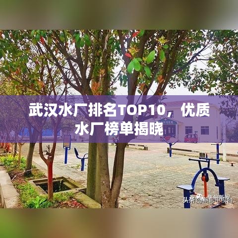 飞燕化龙
