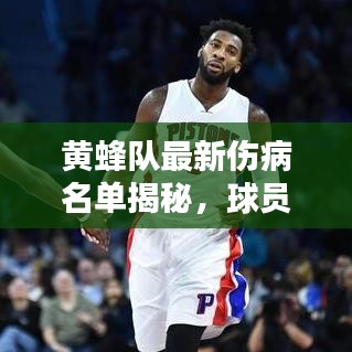黄蜂队最新伤病名单揭秘，球员伤情及影响分析