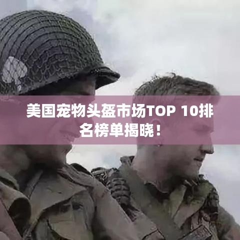 美国宠物头盔市场TOP 10排名榜单揭晓！