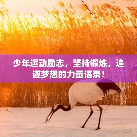 一心一意