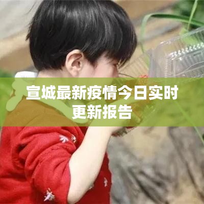 宣城最新疫情今日实时更新报告