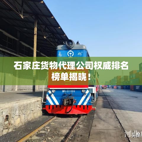 石家庄货物代理公司权威排名榜单揭晓！