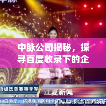 中脉公司揭秘，探寻百度收录下的企业魅力