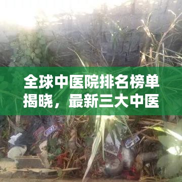 全球中医院排名榜单揭晓，最新三大中医院荣耀上榜