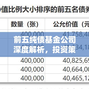 前五纯债基金公司深度解析，投资策略与管理优势揭秘