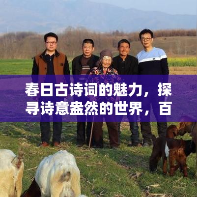 春日古诗词的魅力，探寻诗意盎然的世界，百度带你领略古典之美