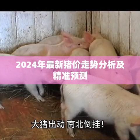 2024年最新猪价走势分析及精准预测