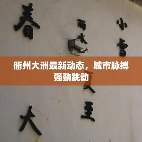 衢州大洲最新动态，城市脉搏强劲跳动