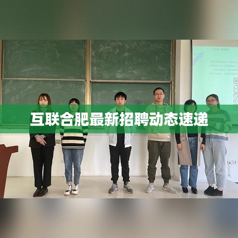 互联合肥最新招聘动态速递
