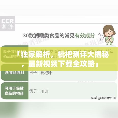 「独家解析，枇杷测评大揭秘，最新视频下载全攻略」