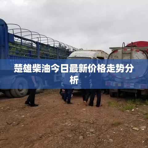 楚雄柴油今日最新价格走势分析
