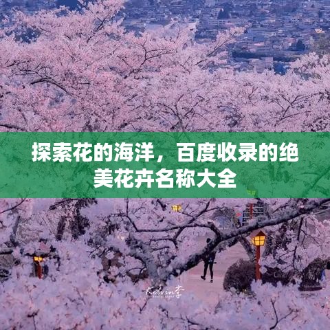 探索花的海洋，百度收录的绝美花卉名称大全